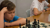 National curriculum: Economist John Adams calls for chess to be taught in Australian schools